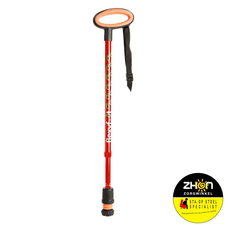 Wandelstok met ovalen handvat