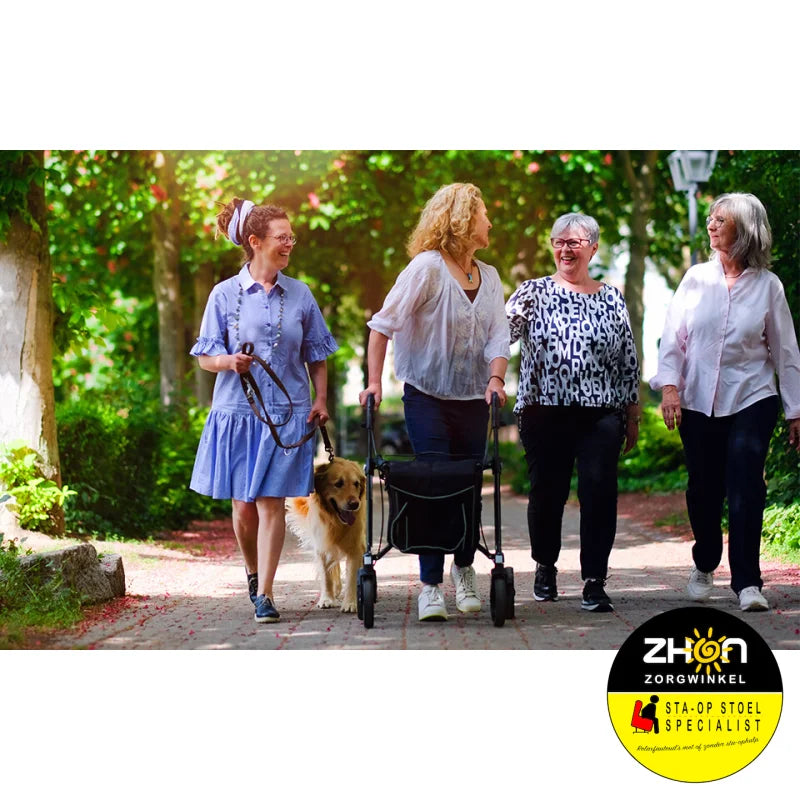 Gemino - 30  – Carbonrollator